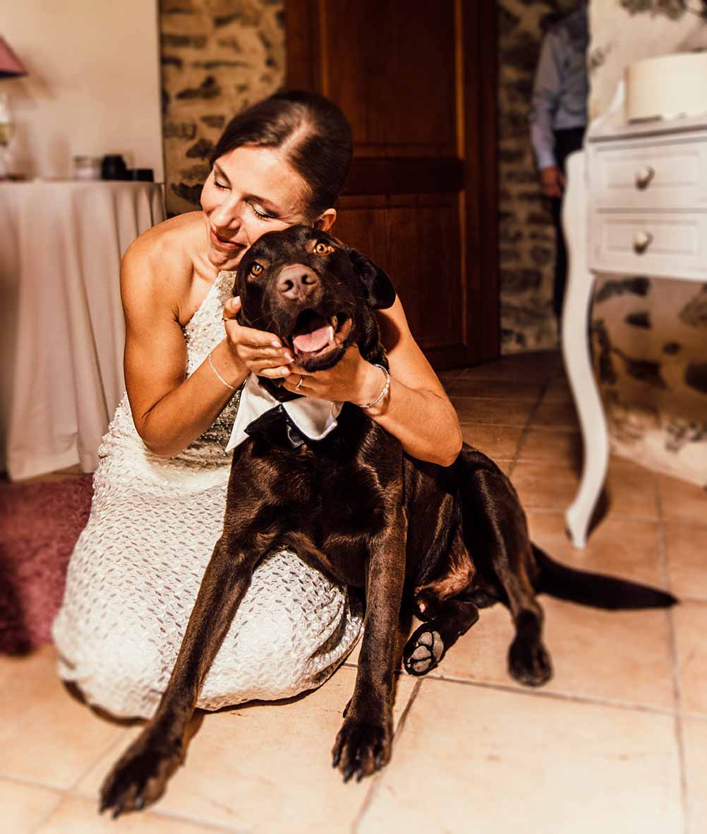 fotógrafos de boda palma de mallorca amor de perro