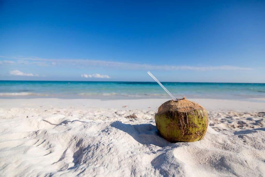 "ALT"fotógrafo bodas en caribe coco